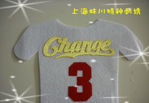 熱轉印彩色仿繡花3D印標 價格、廠家與圖片全解析